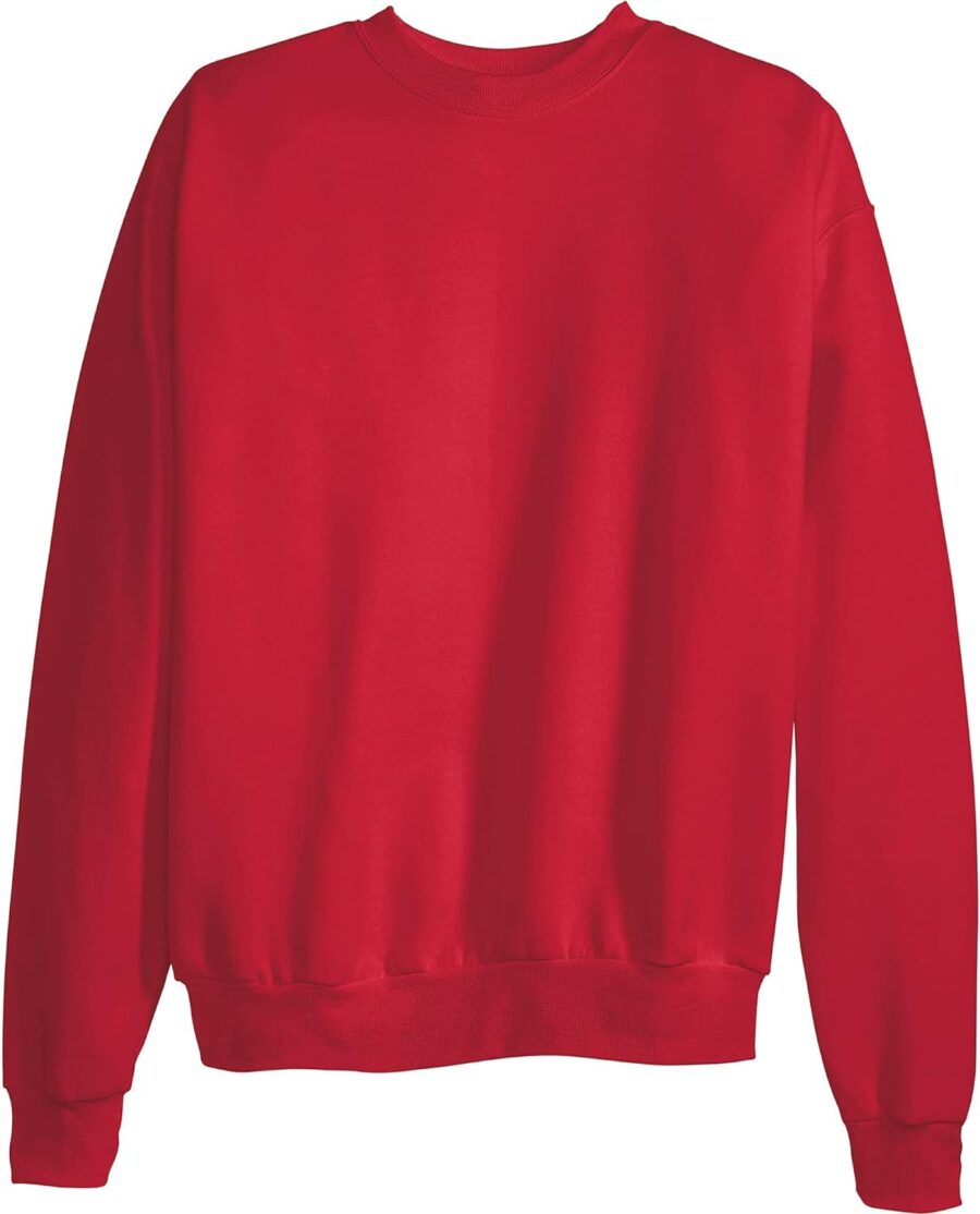 Hanes Men's Ecosmart Fleece Sweatshirt