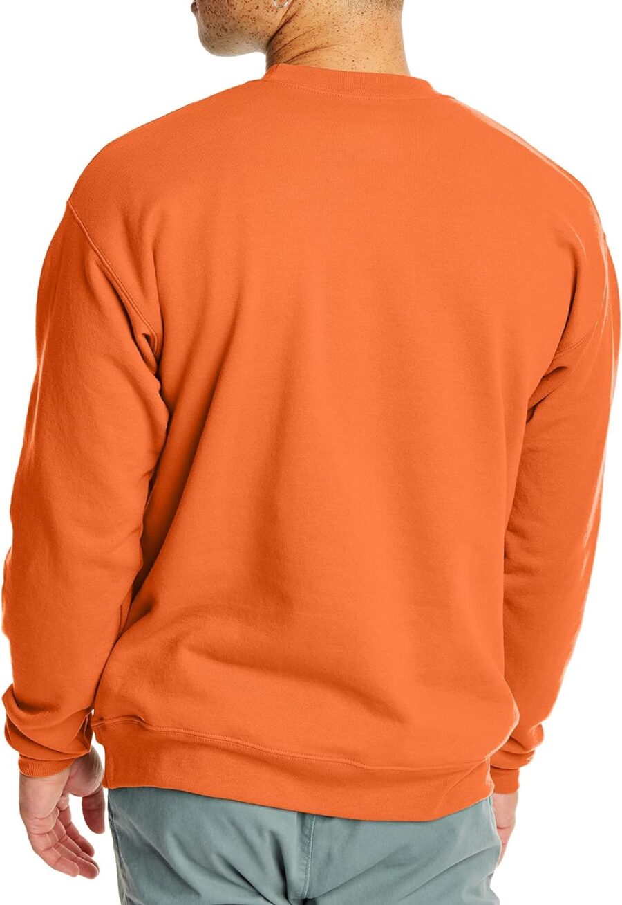 Hanes Men's Ecosmart Fleece Sweatshirt